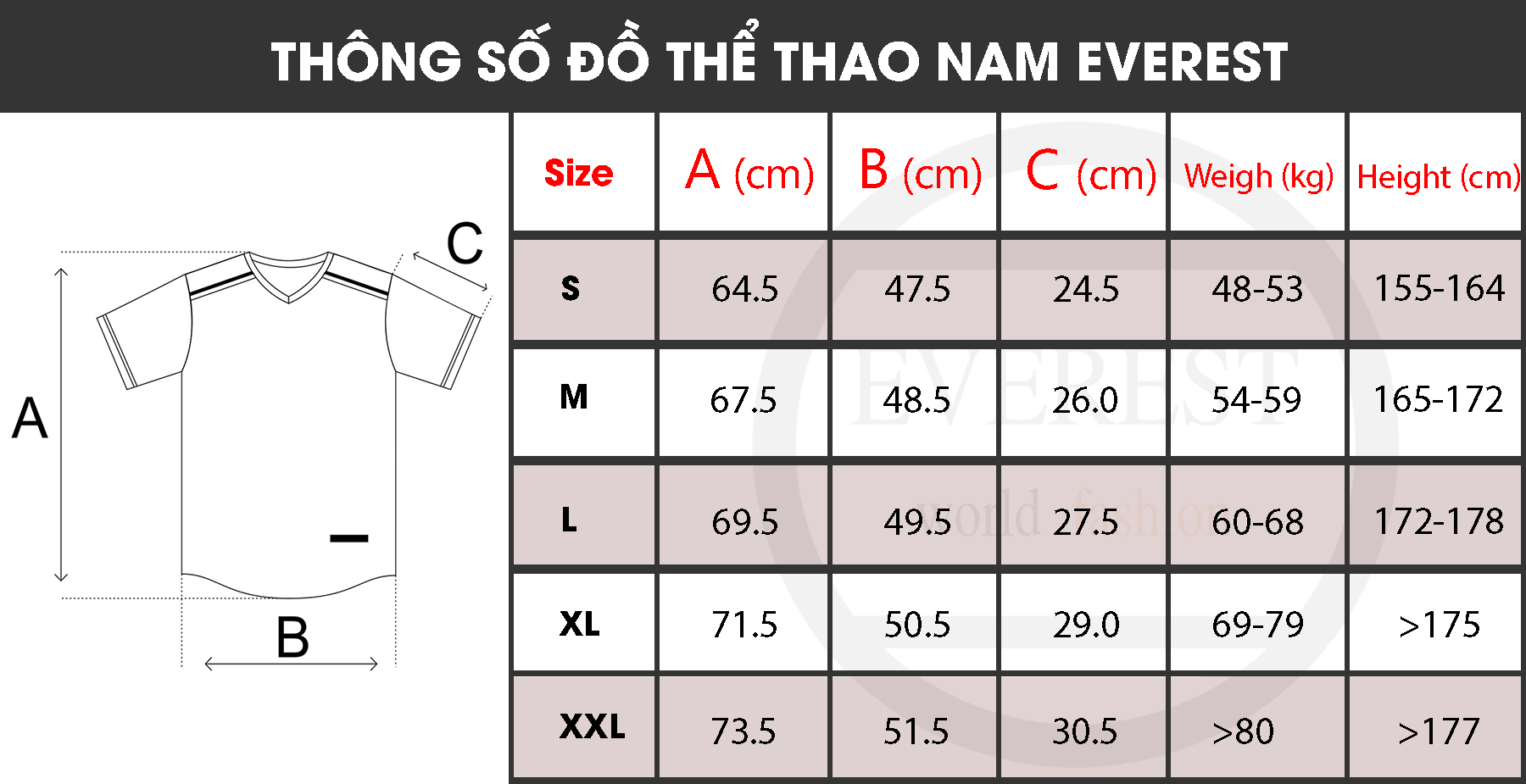 Đồ bộ quần áo thể thao bóng đá nam thời trang EVEREST NM302 Nhiều màu