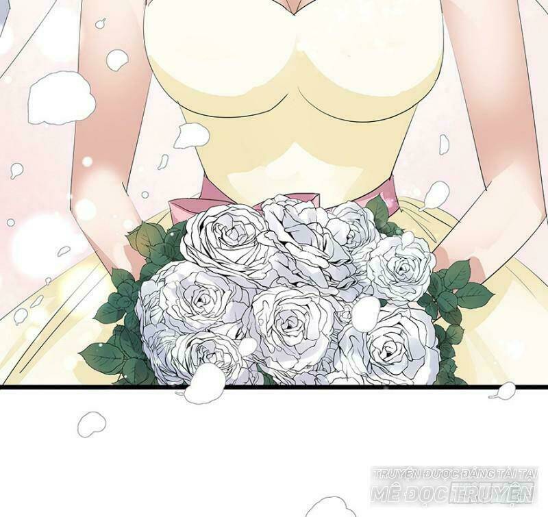 chào buổi sáng, ức vạn manh thê chapter 11 26