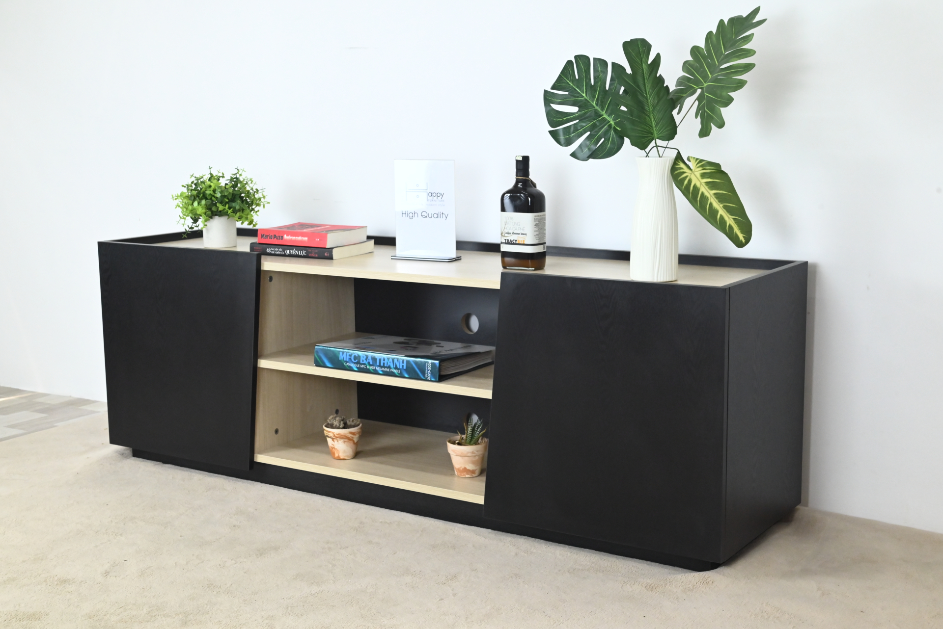 [Happy Home Furniture] VIGGO, Kệ TV 2 cửa mở, 160cm x 40cm x 54cm ( DxRxC), KTV_048