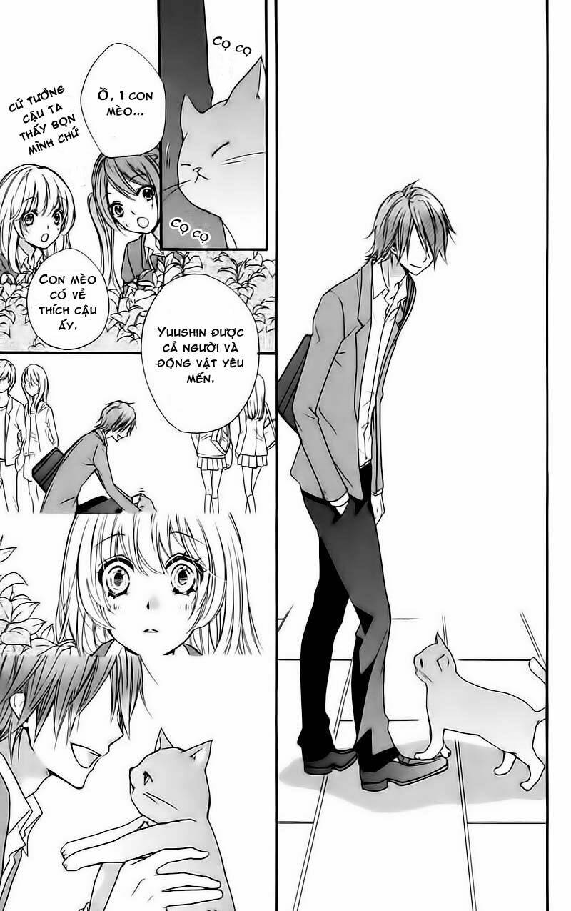 tình yêu của hiyo chapter 14 17