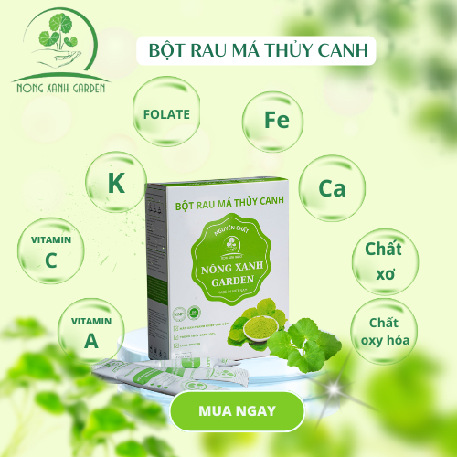 Nông Xanh Garden Bột Rau Má Thủy Canh Nguyên Chất Hộp 15 gói (3gr/1 gói) hòa tan uống liền, không đường, thanh nhiệt