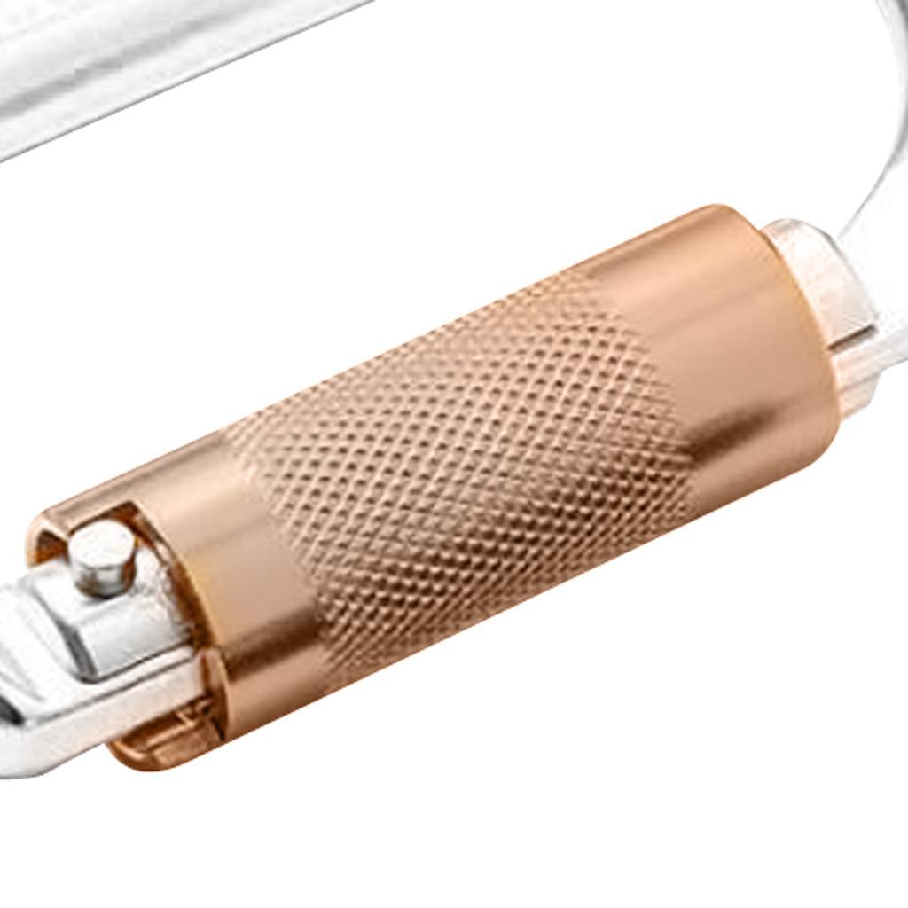 4Pcs Heavy Duty Aluminum Alloy Climbing Carabiner Clip 25KN, Screw Gate Lock Carabiner Hook for Dog Leash Hammocks Camping Hiking Keychain and Utility