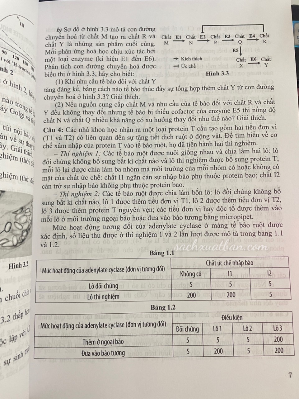 Sách Master Of Biology Questions - Hành Trình Tới Olympic Sinh Học