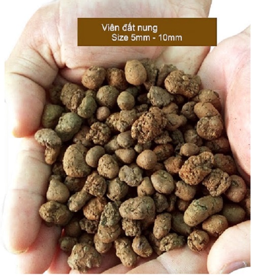 1kg Viên Sỏi Nhẹ Đất Nung - Full Size Trồng Lan, Trồng Cây, Sen Đá, làm hệ thống lọc