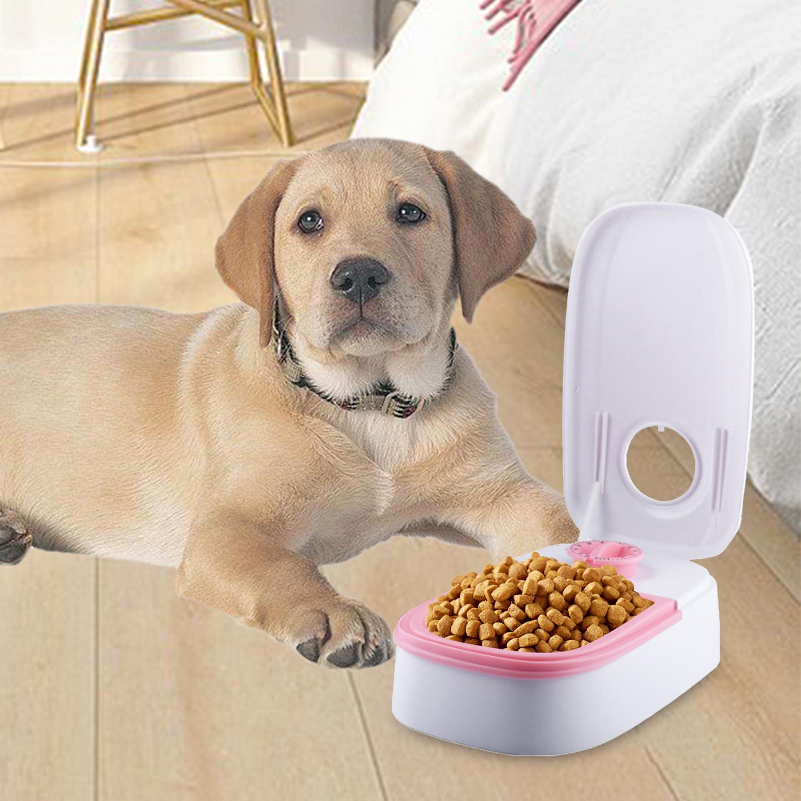 Automatic Pet Feeder Pet Feeding Electric Cat Feeder for Kitten Puppy