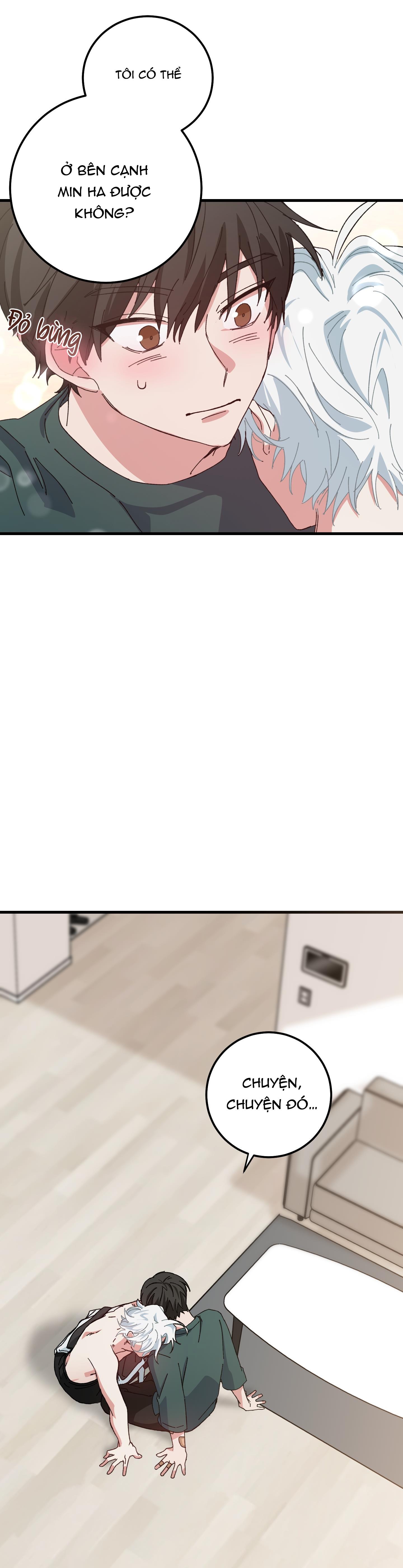 yêu tôi đi, thần hộ mệnh chapter 4 2