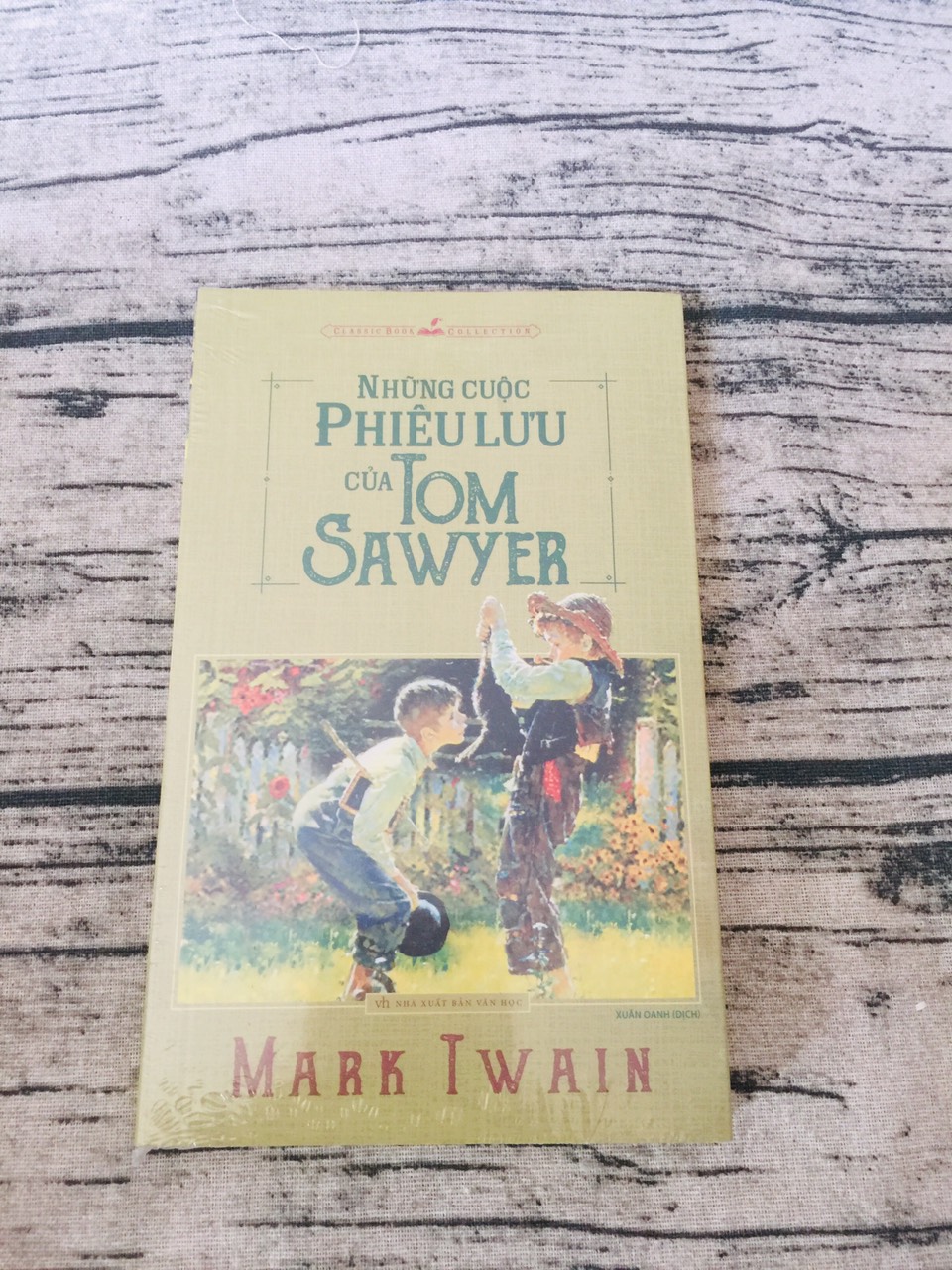 Những Cuộc Phiêu Lưu Của Tom Sawyer