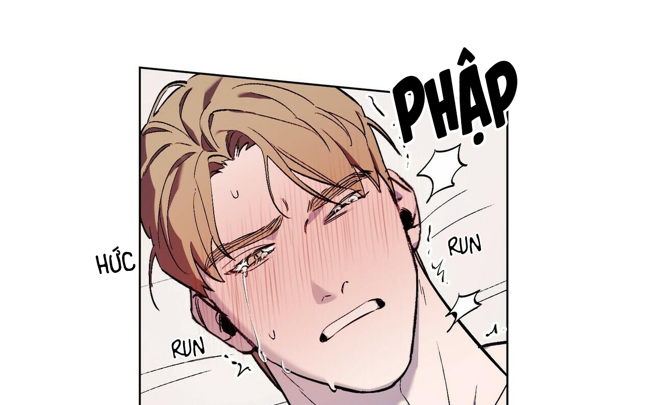 chàng dâu nhà họ kang chapter 19 20