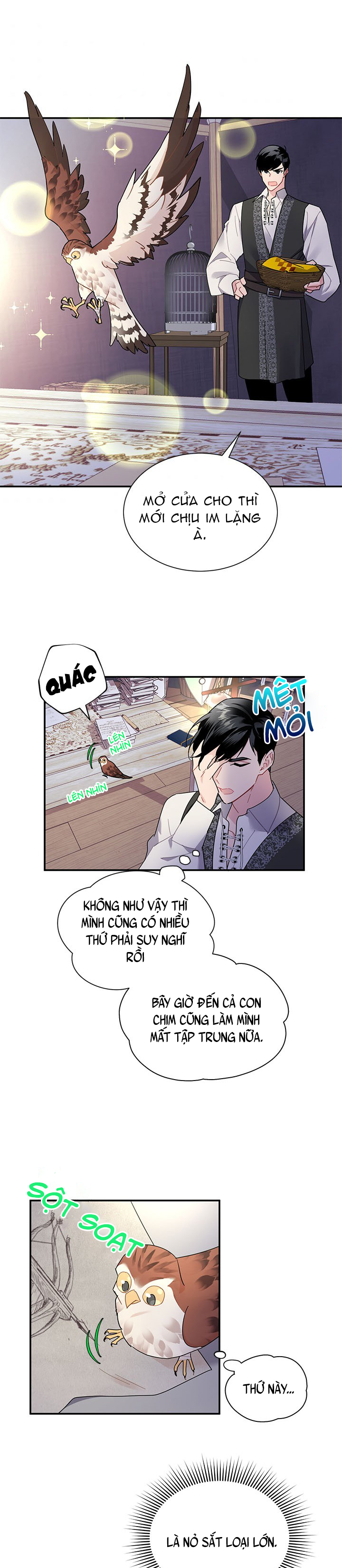 công chúa của loài chim chapter 21 3