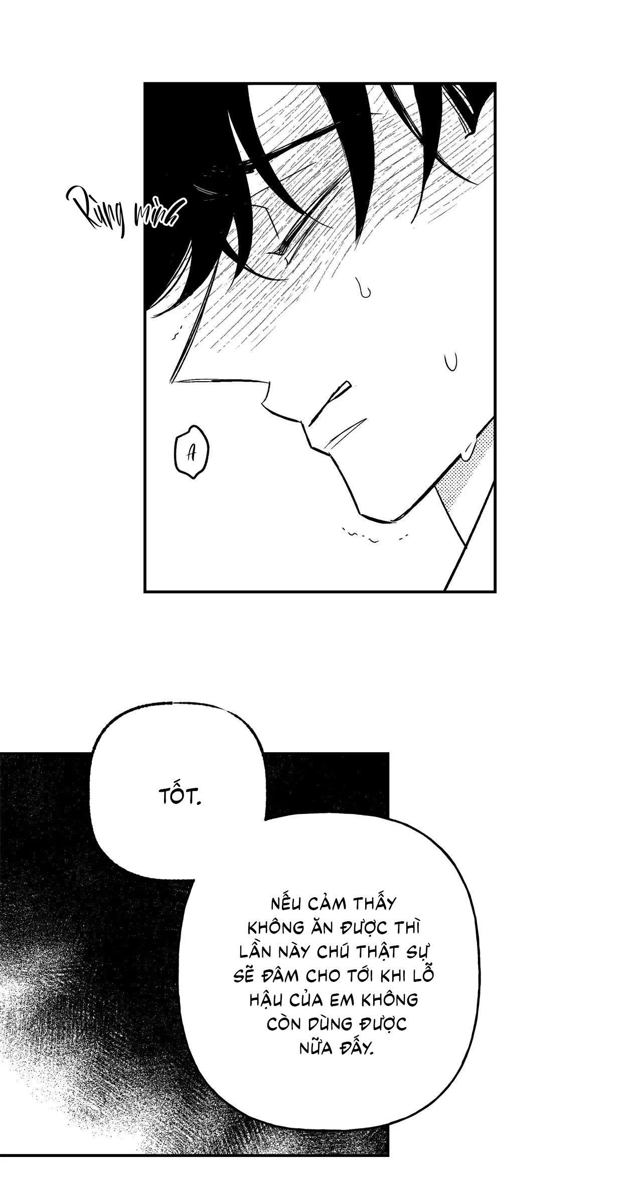 (cbunu) sự kết hợp hoàn hảo chapter 41 38