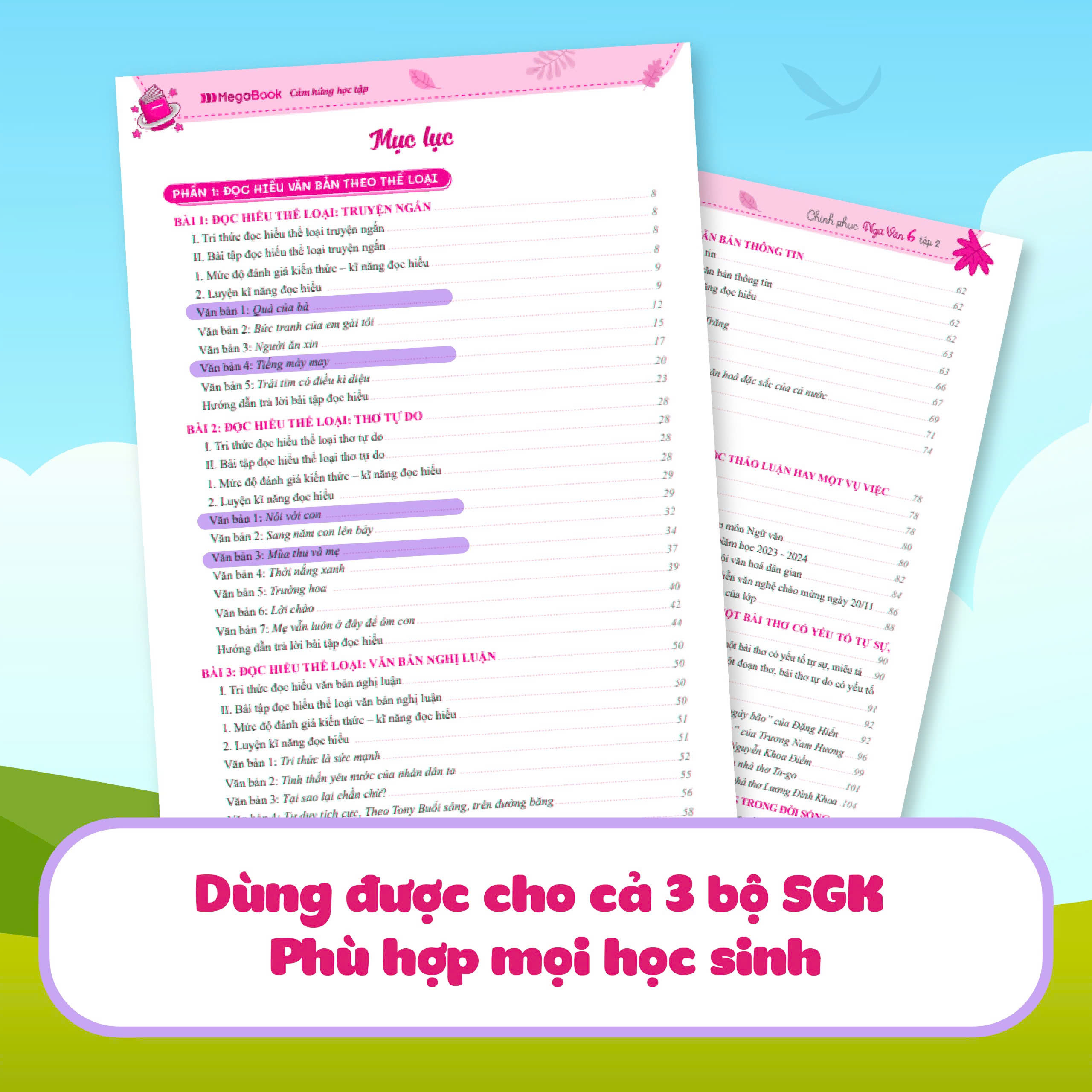 Chinh Phục Ngữ Văn - Kỹ Năng Đọc Hiểu Và Viết Theo Các Thể Loại Lớp 6