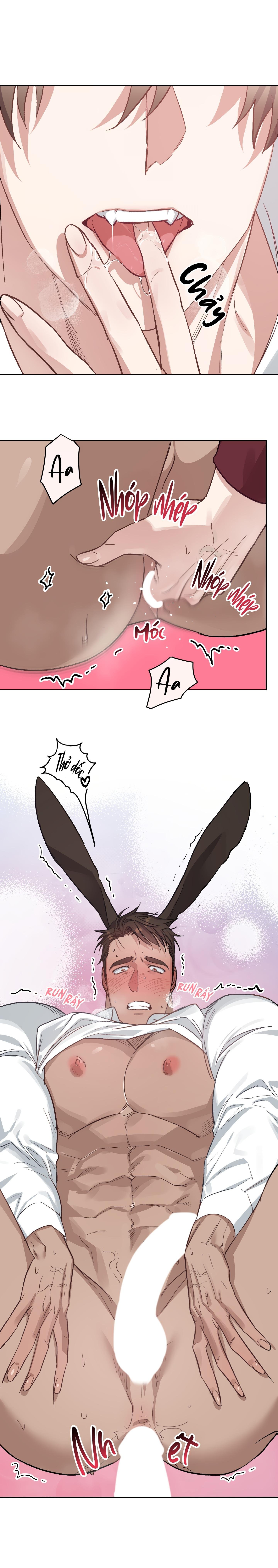 thỏ xuất tinh trong vòng 3 giây chapter 11 34