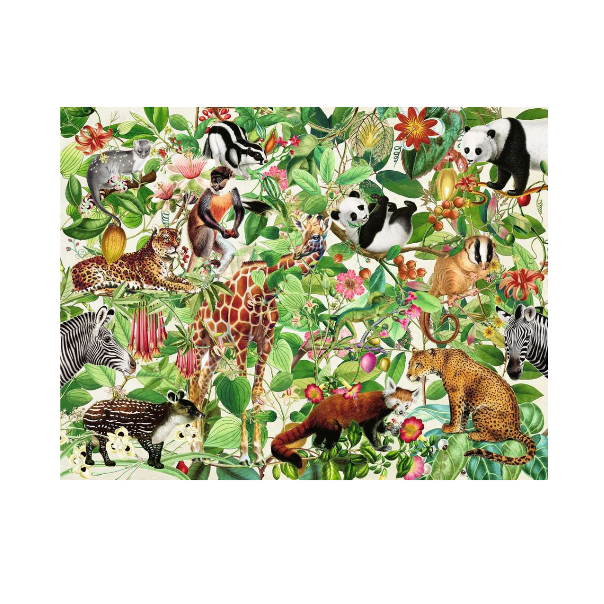 Xếp hình puzzle Jungle 2000 mảnh RAVENSBURGER 168248