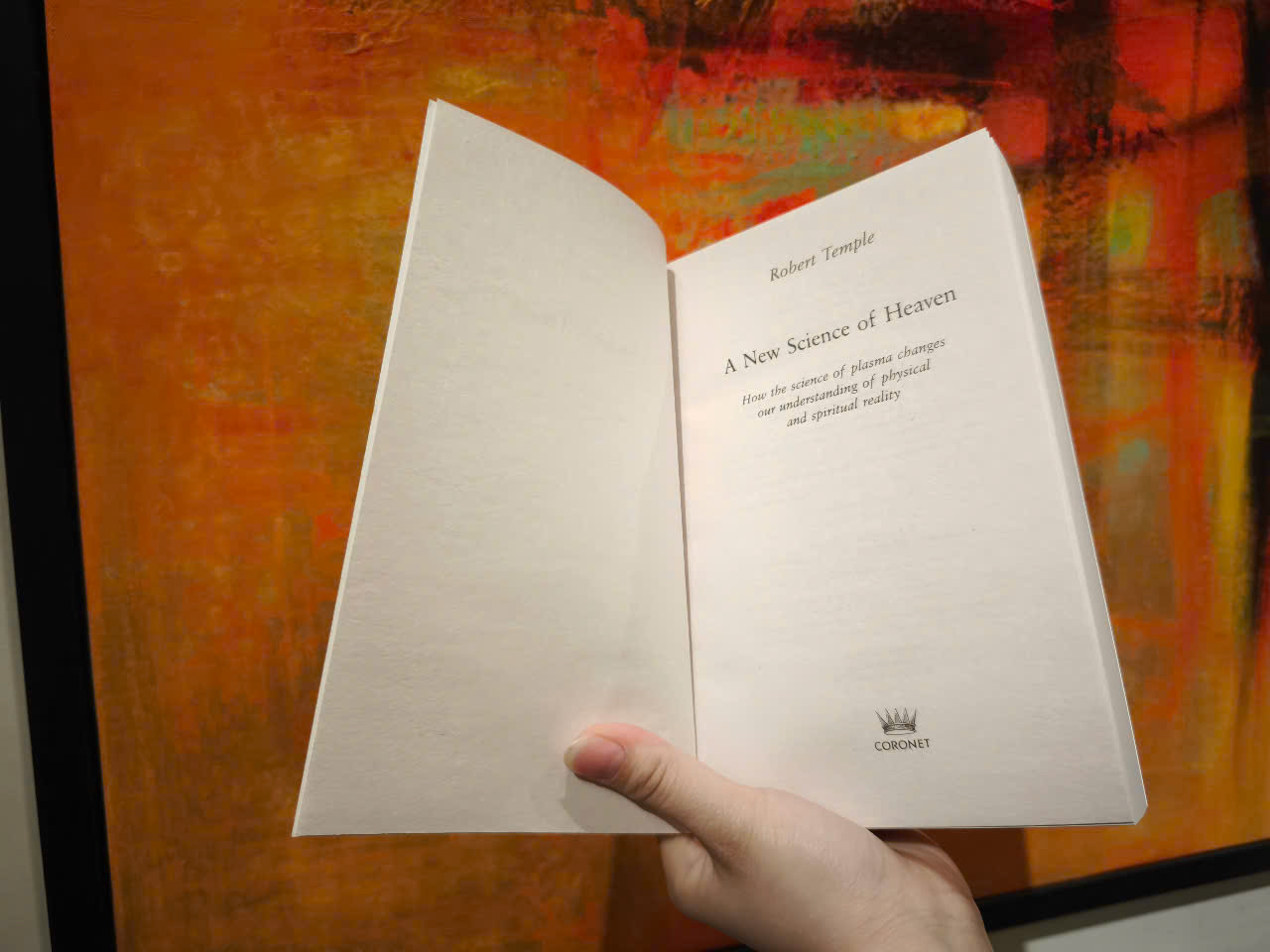 Sách - A New Science of Heaven: How the new science of plasma physics is shedding light on spiritual experience by Robert Temple