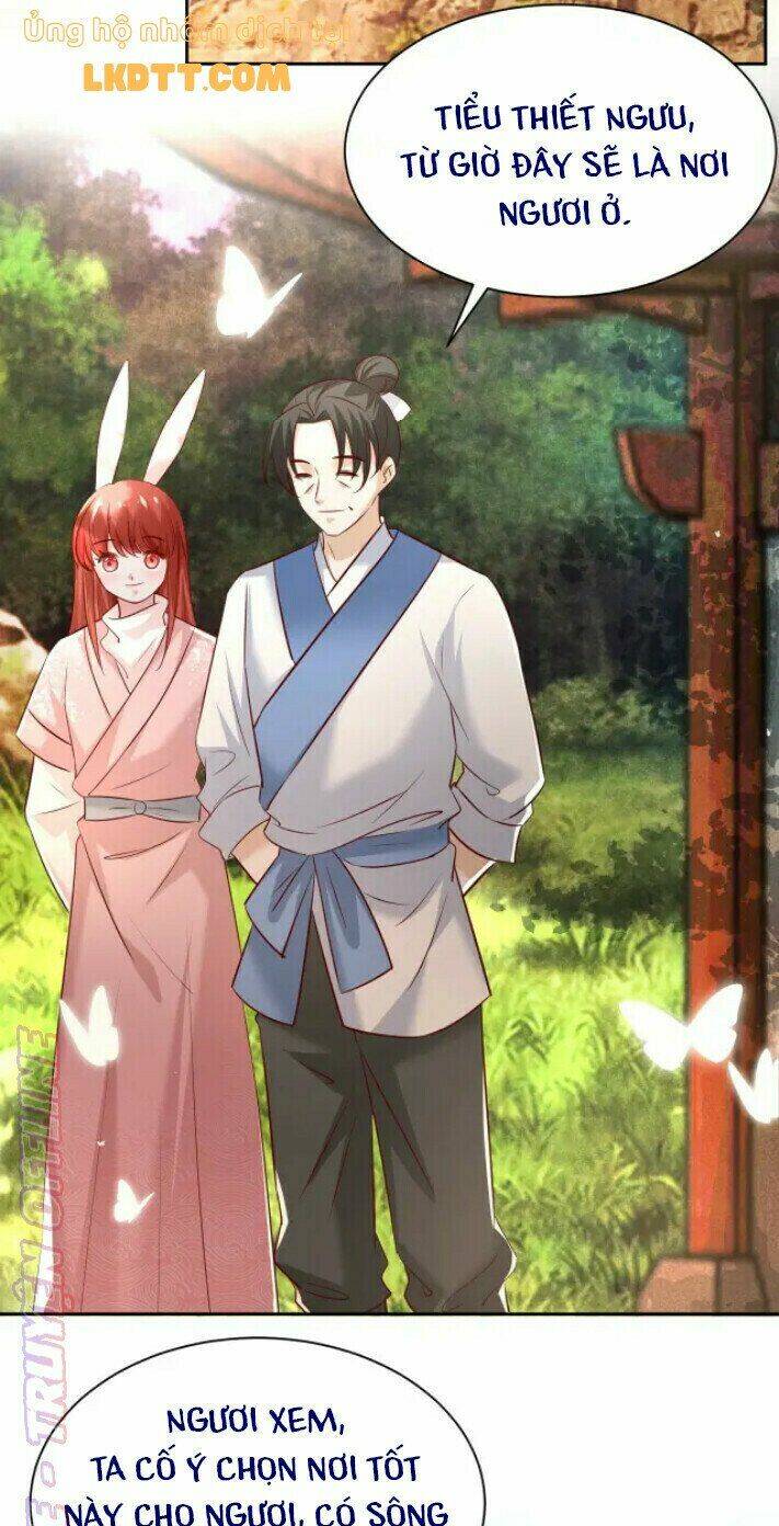 hắc hóa nam chính trực tuyến nuôi thỏ chapter 37 31