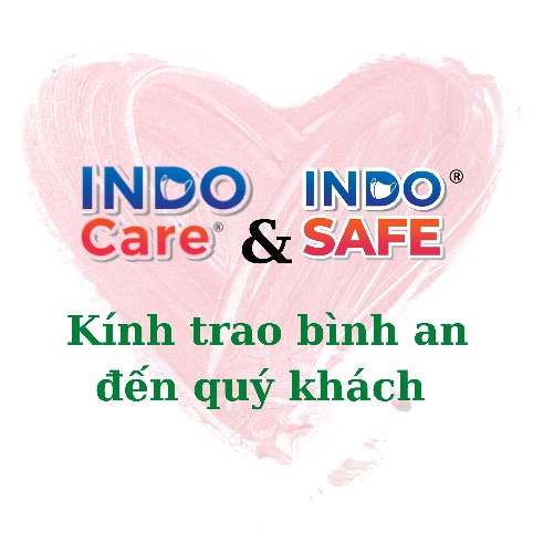 Combo 5 Túi Khẩu trang cao cấp kháng khuẩn INDO SAFE