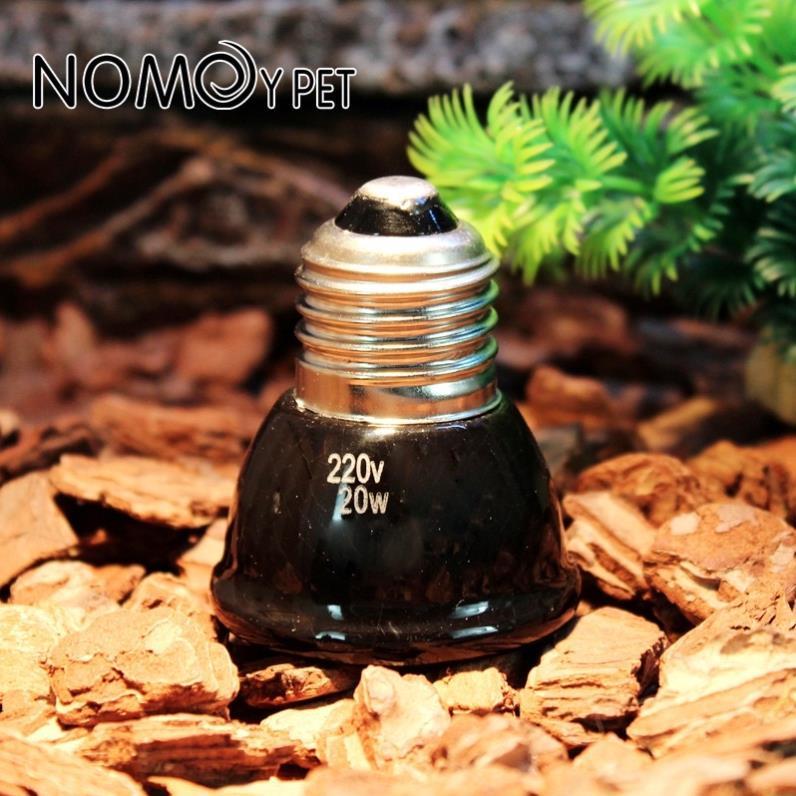 Đèn sưởi đêm mini - đèn sưởi sứ mini cho bò sát thú cưng Nomoy Pet petstore