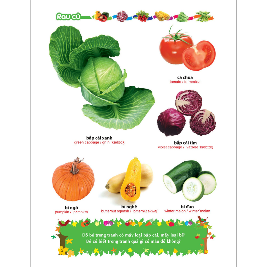 Từ Điển Tranh Về Rau - Củ - Quả - Hoa
