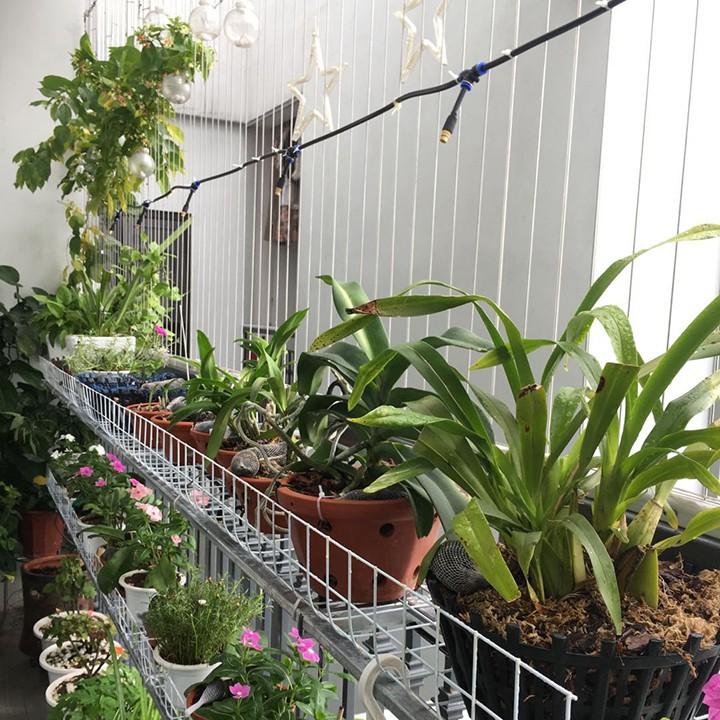 Béc Phun Sương 1 Cửa Chân Góc Cút Dây 8mm Phun Sương Làm Mát Tưới Lan Cây Cảnh
