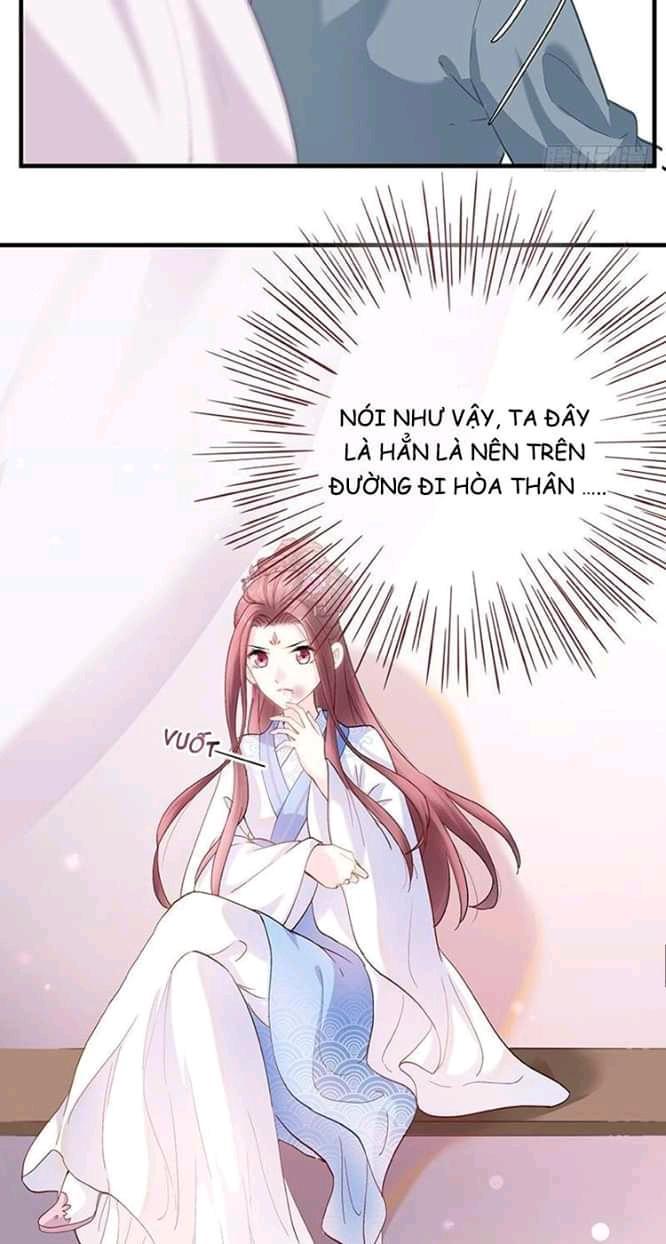 vương phi - âm động thiên hạ chapter 2 29