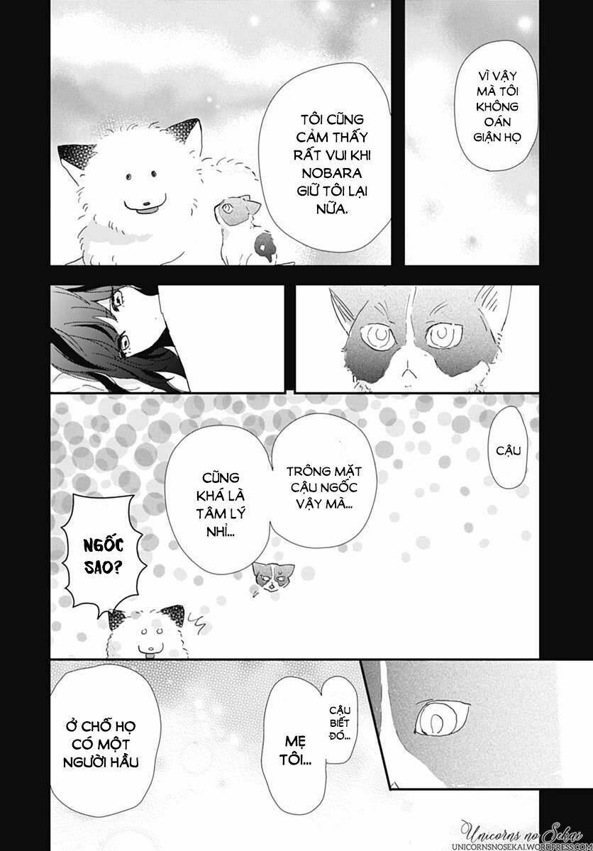 kimi to wonderland chapter 5 24