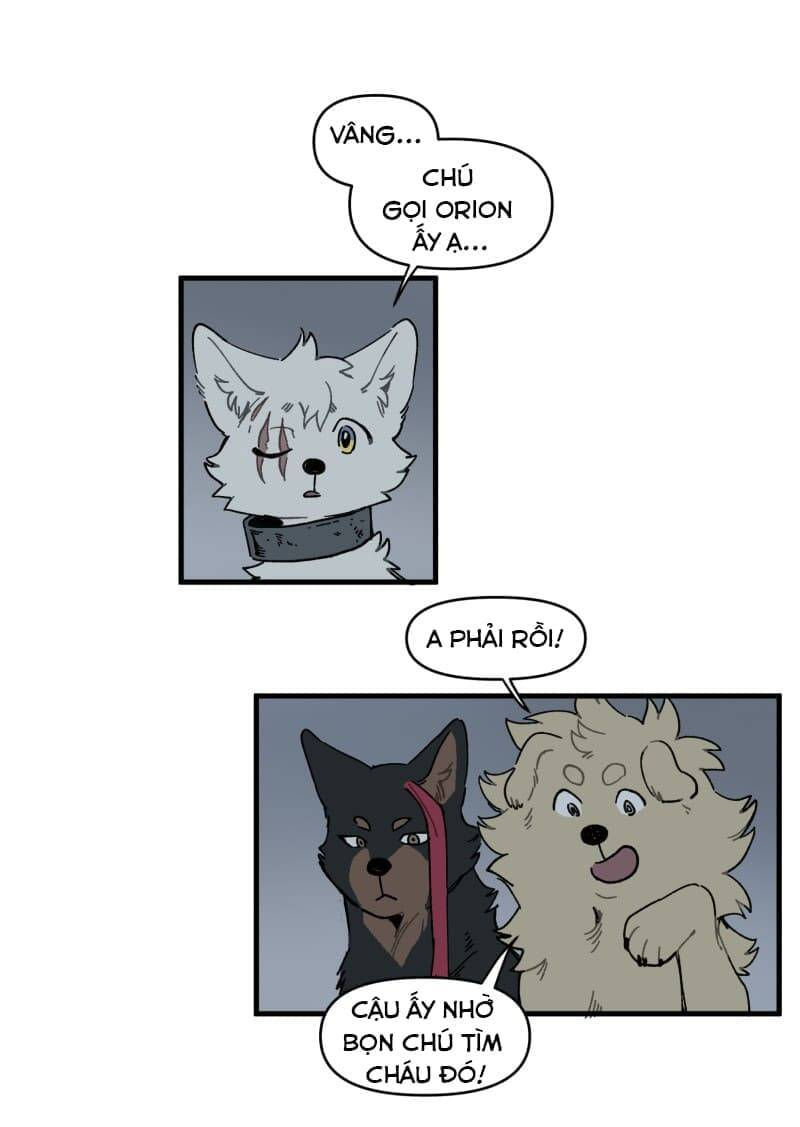 lumine - cội nguồn ánh sáng chapter 145 25