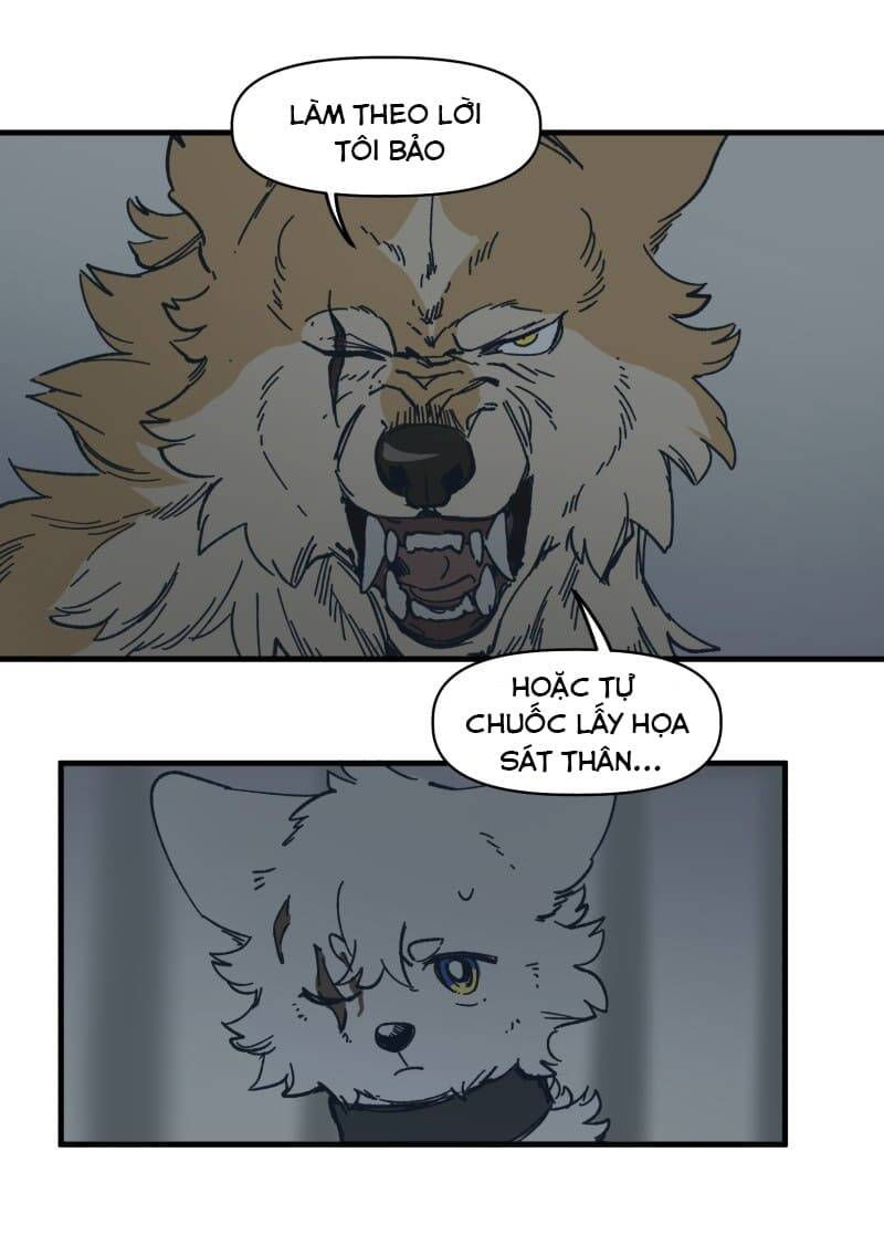 lumine - cội nguồn ánh sáng chapter 140 13