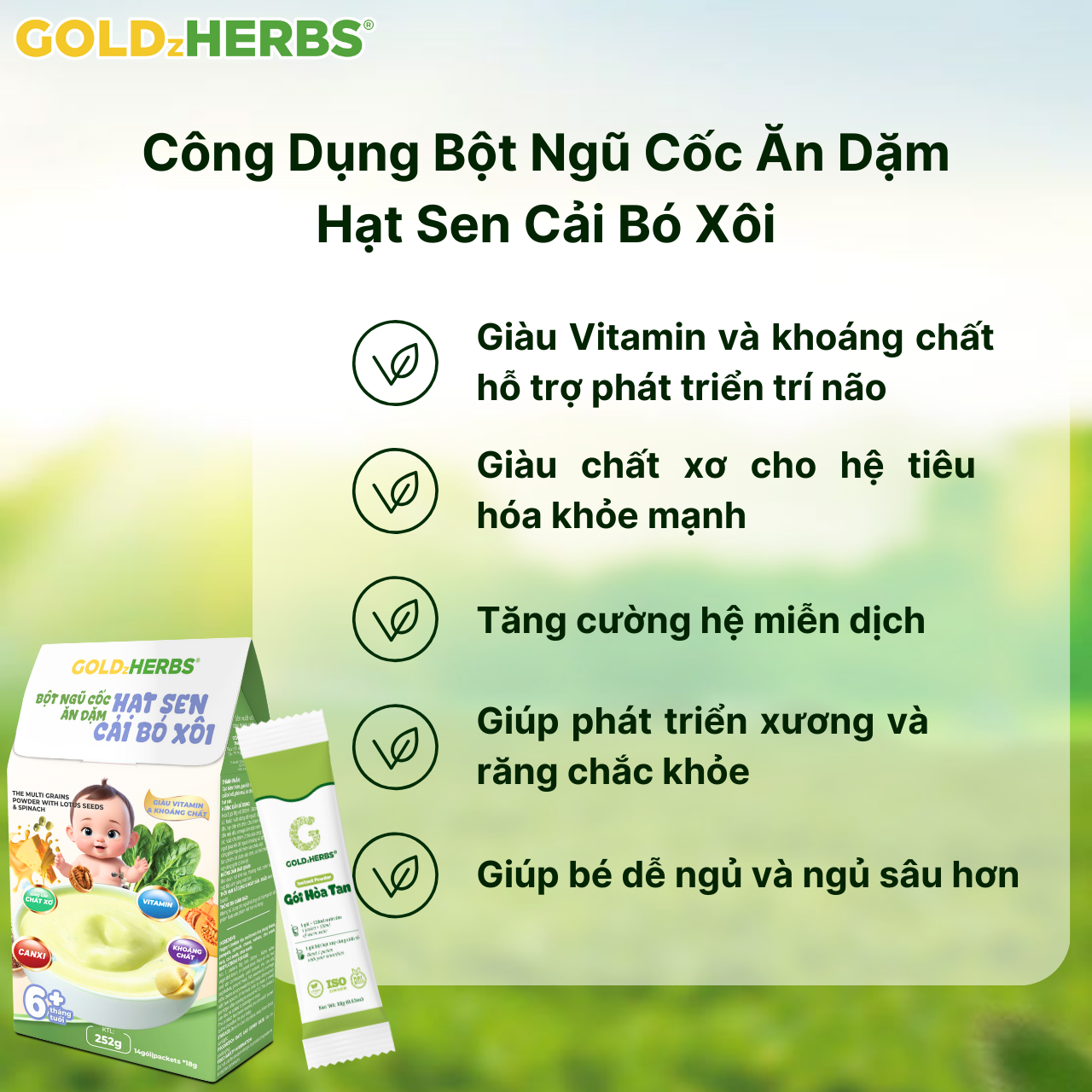 Bột ngũ cốc ăn dặm hạt sen cải bó xôi GoldzHerbs cho bé từ 6 tháng tuổi – 252g/ 500g