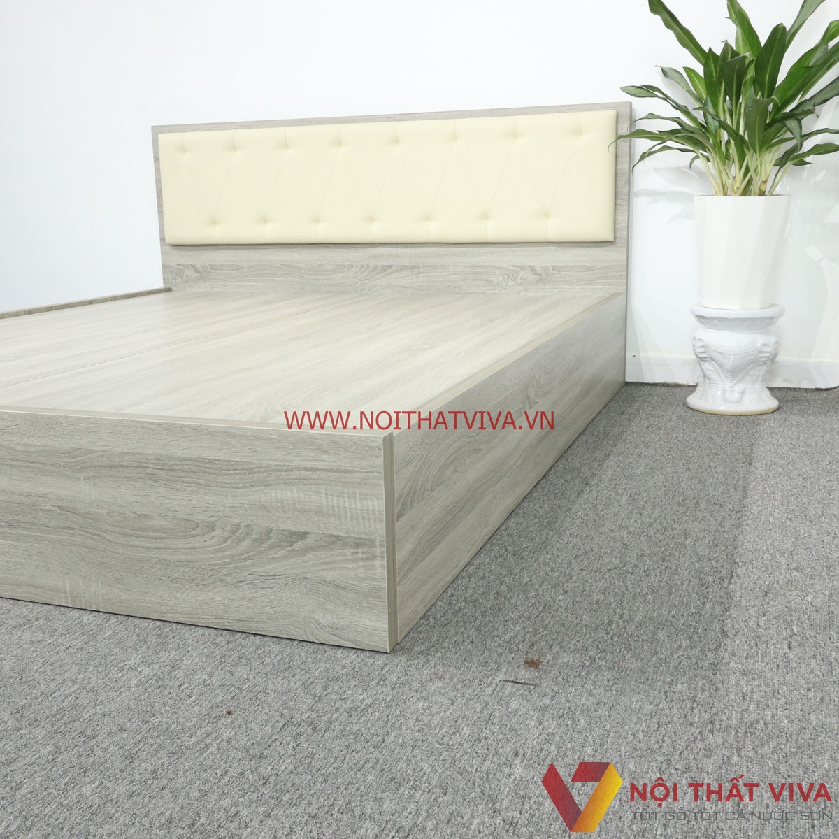Giường Ngủ Gỗ MDF Melamine Màu Xám Vân Gỗ Có Đầu Nệm Kem Đẹp Hiện Đại
