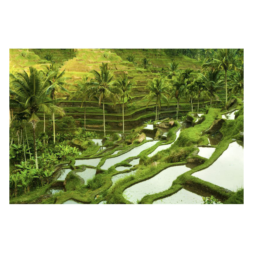 Tranh dán tường 3D | Tranh trang trí nhà cửa 3D | Tranh đẹp 3D | T3DMN T6 VAD_SSTH0323