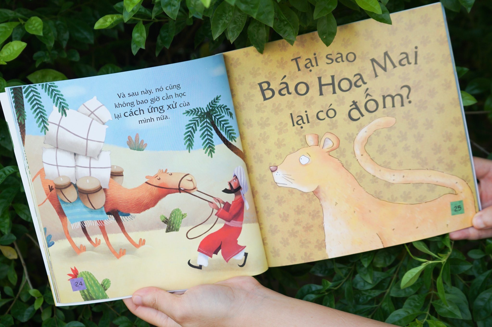 Sách thiếu nhi - Truyện kể mỗi ngày cho trẻ 3 - 9 tuổi - Sự tích các loài vật - Đinh Tị Books