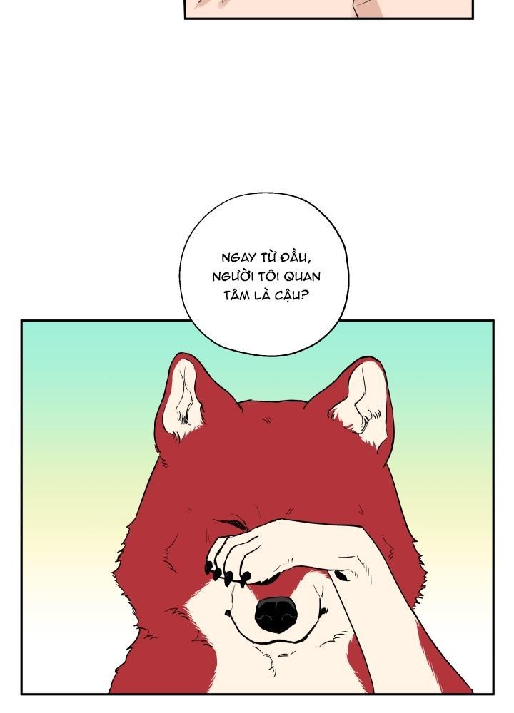 gâu gâu! chapter 21 6