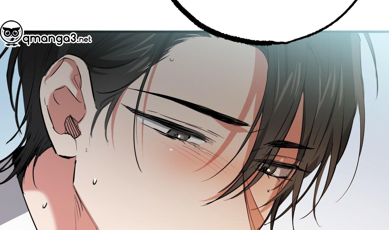 những chú thỏ của hapypy chapter 49 242