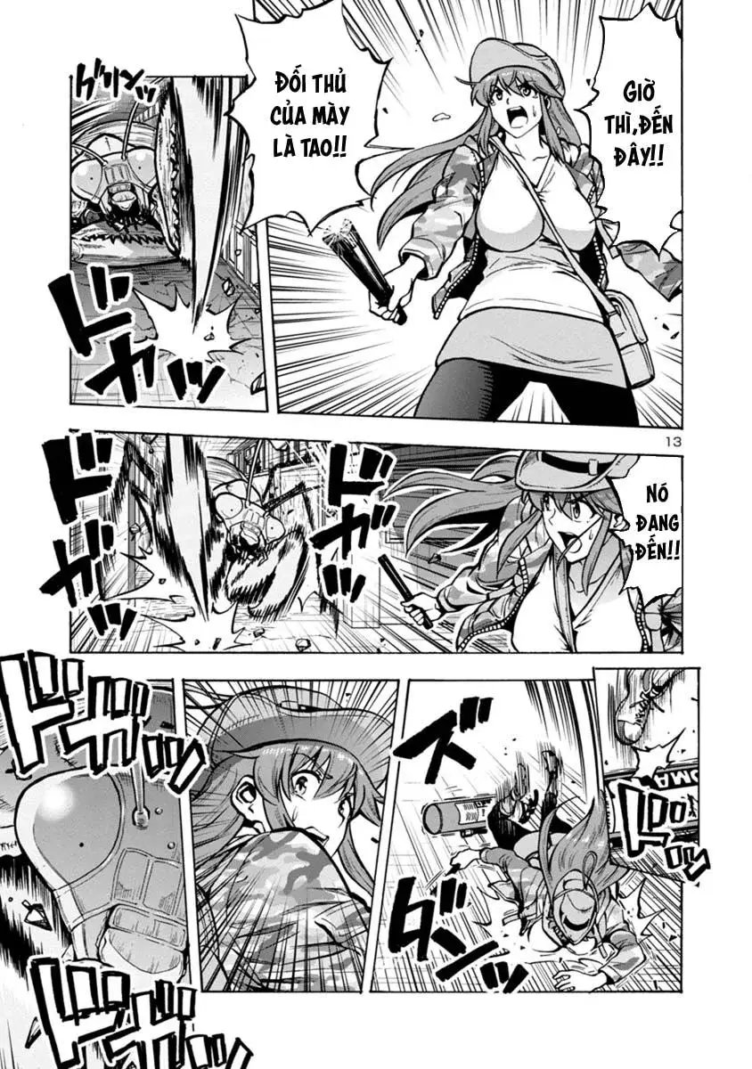 Siêu Đảo Côn Trùng chapter 15.1 27