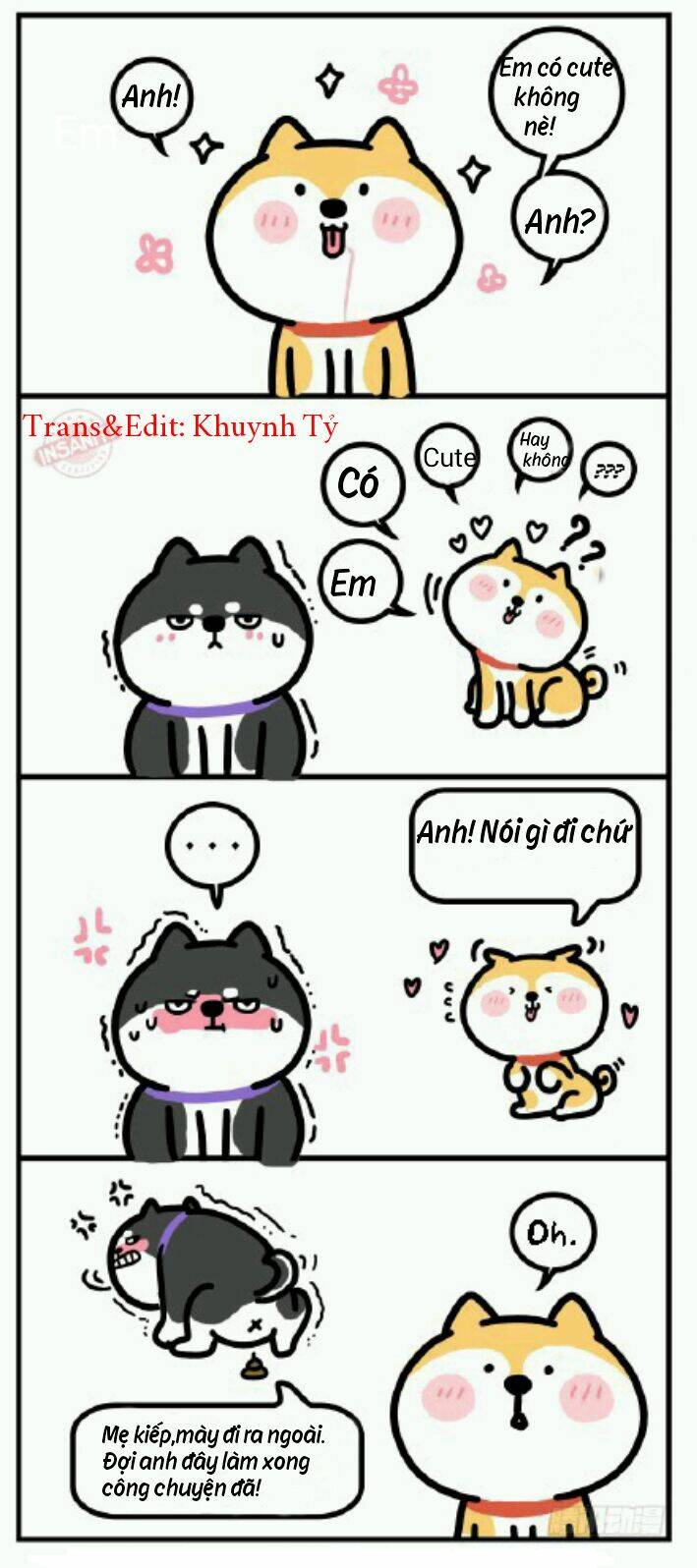 anh em shiba chapter 1 2