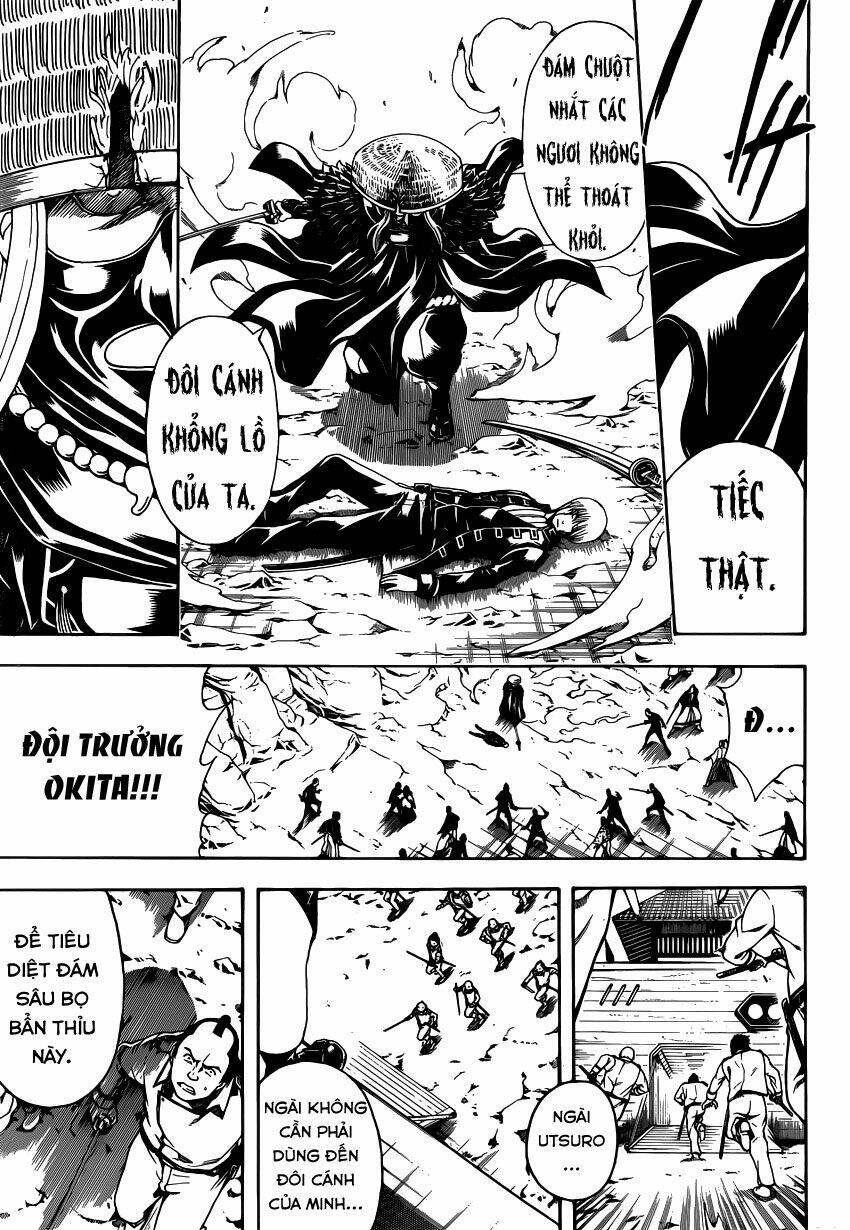 gintama - linh hồn bạc chapter 543 9