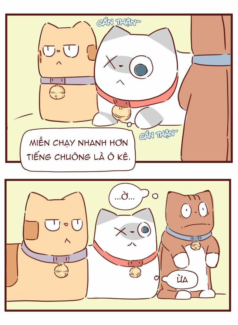 saphie: chú mèo một mắt chapter 28 10