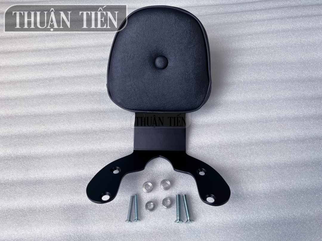 TỰA LƯNG PCX 2010 - 2019 Inox