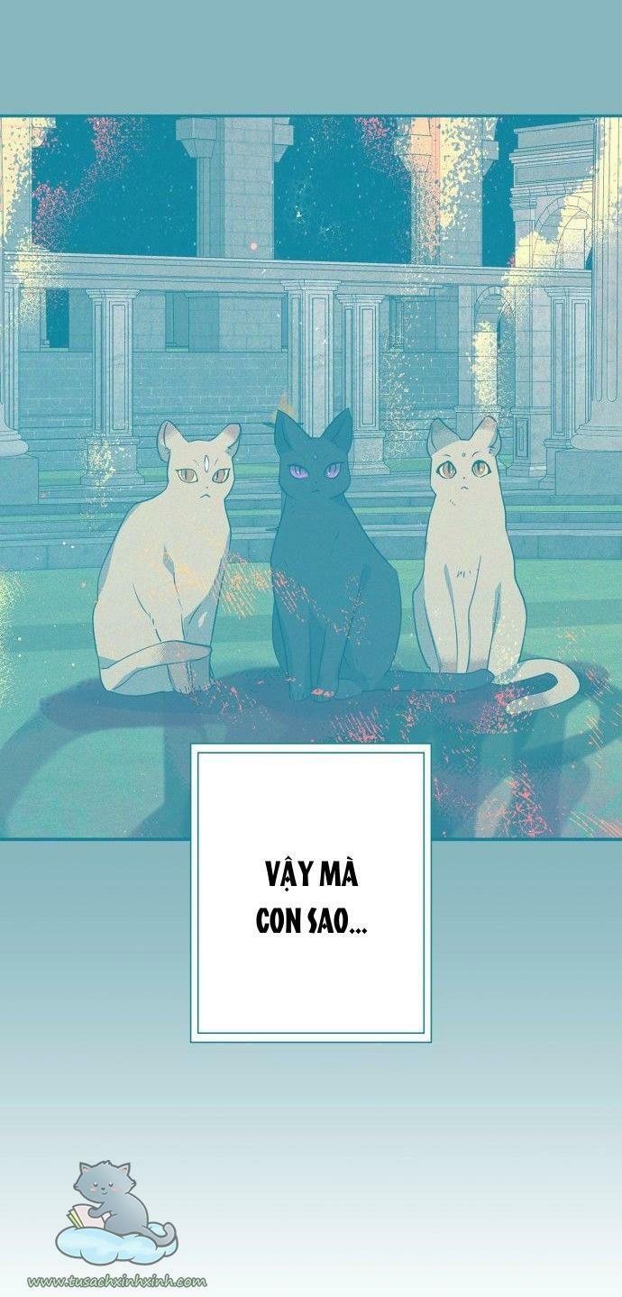 tôi đang nuôi dưỡng một con quái thú chapter 64 43