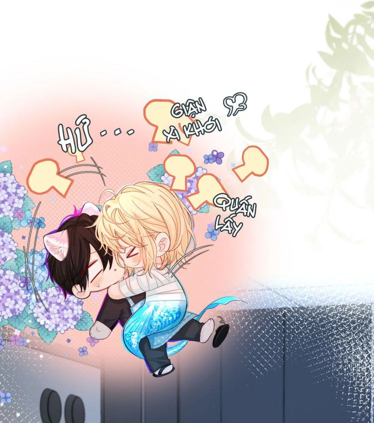 nhân ngư rơi xuống chapter 38 24