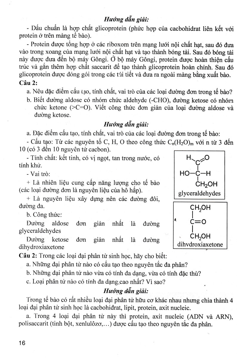 Bồi Dưỡng Học Sinh Giỏi Sinh Học 10 (Dùng Chung Cho Các Bộ SGK Hiện Hành)