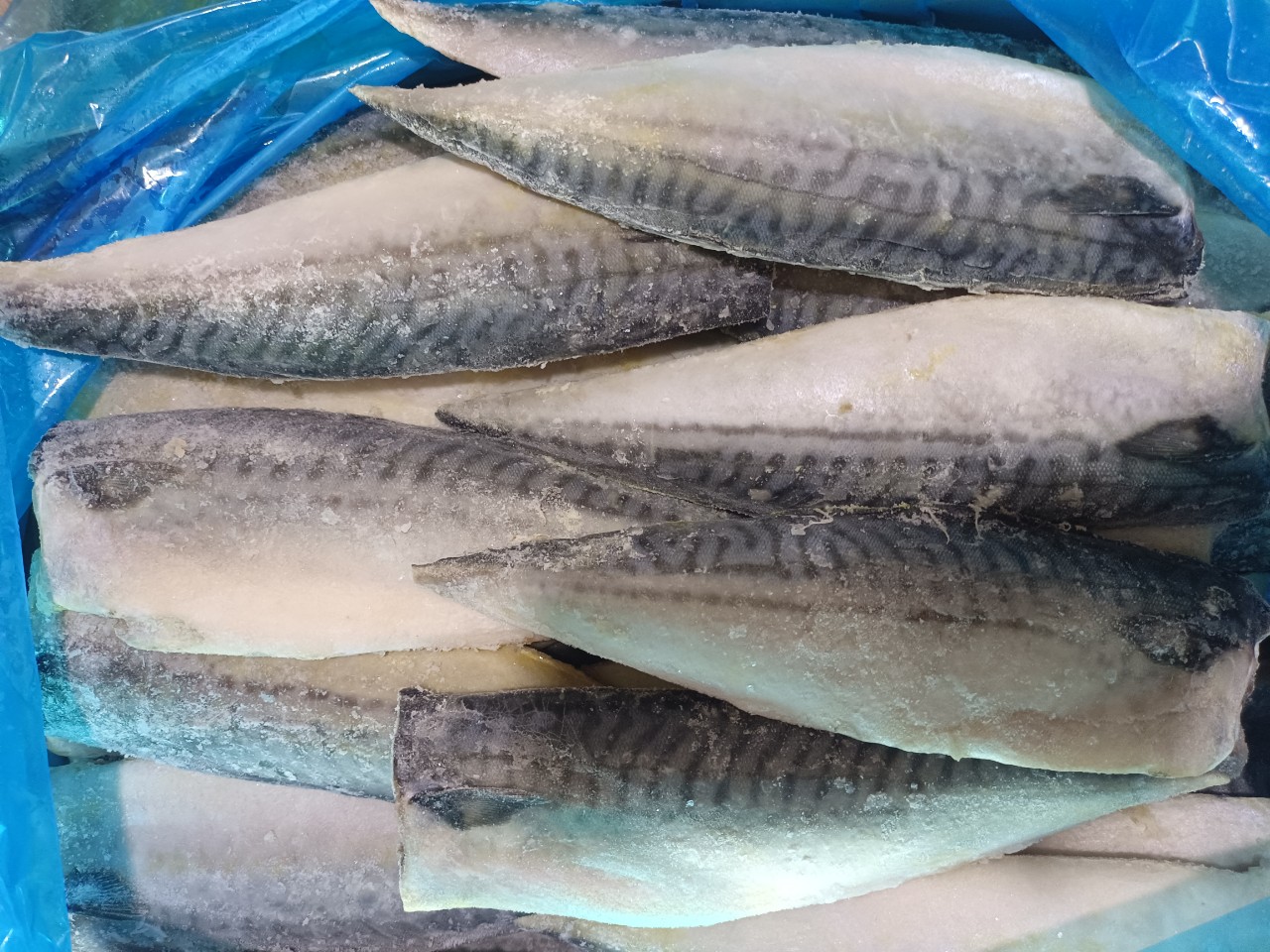 Cá Saba Nauy Fillet - 1kg
