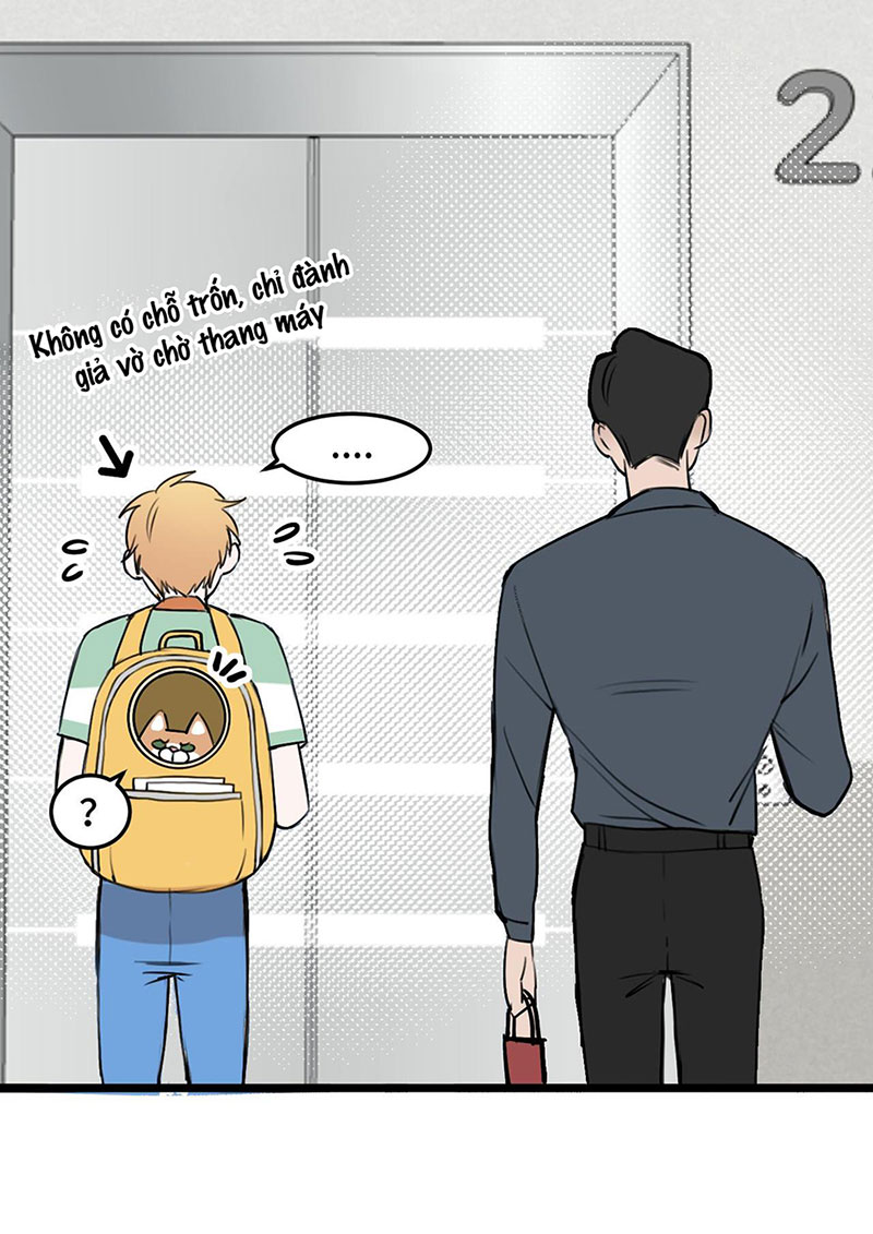 rốt cuộc bé mèo đang nghĩ gì ? chapter 14 65