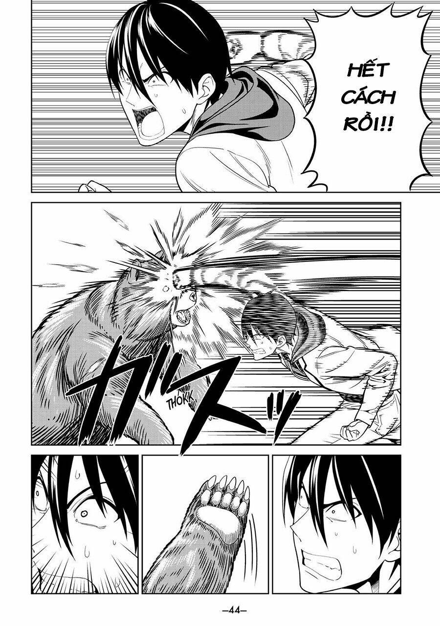 aho girl chapter 121 17