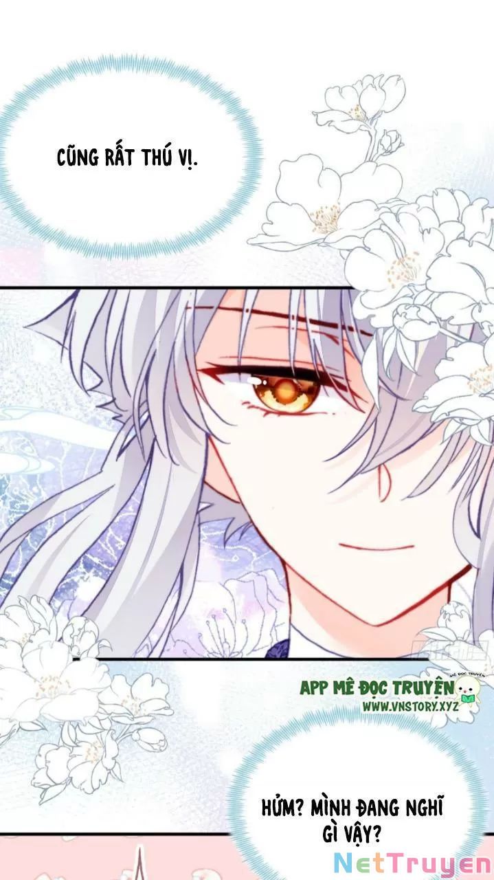 lại bị bệnh chiều chuộng quấn lấy chapter 21 44