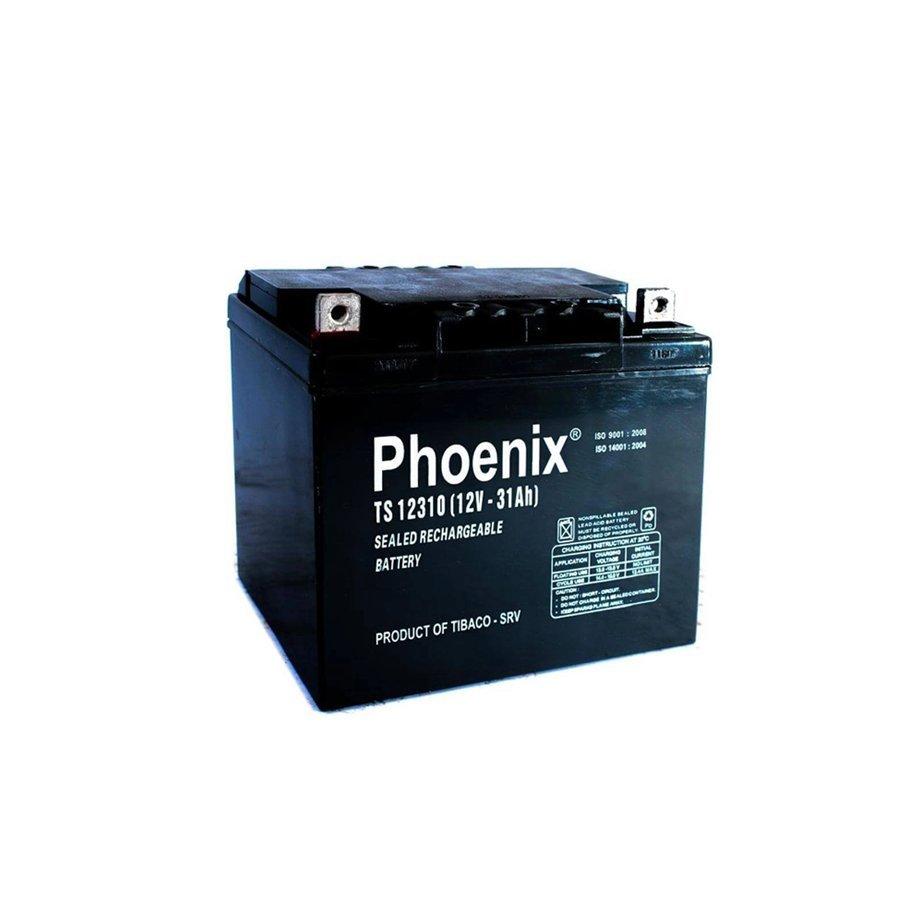 Bình Ắc Quy Khô PHOENIX TS12310 12V-31AH Dùng Cho UPS, Loa Kéo, Lưu Điện