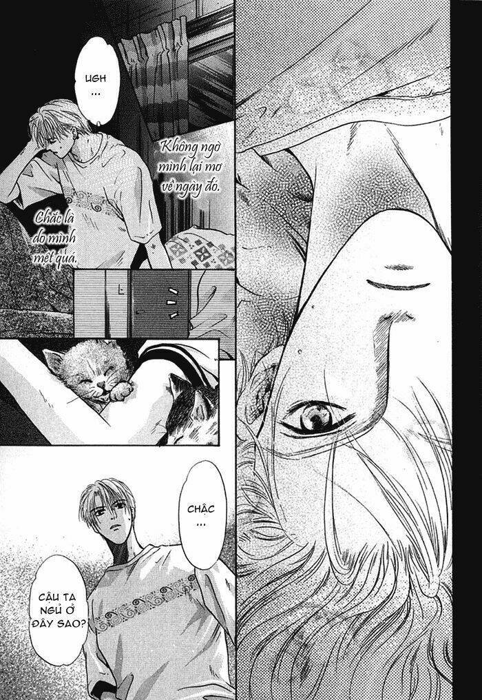 komatta toki ni wa hoshi ni kike! chapter 18 42