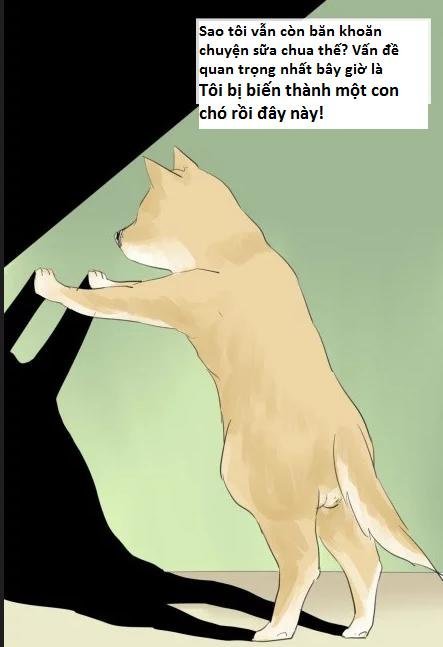 một con chó chapter 1 10