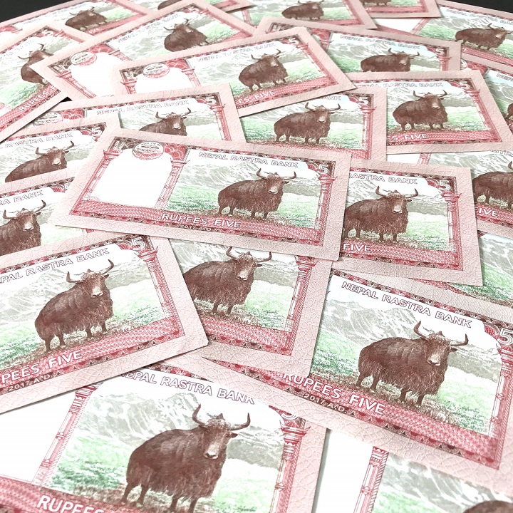Combo 20 tờ lưu niệm hình con Trâu của Nepal, dùng để sưu tầm, lưu niệm, làm tiền lì xì độc lạ, may mắn, ý nghĩa - TMT Collection - SP005071