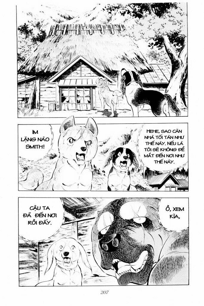 chú chó có nghĩa - ginga nagareboshi gin chapter 29.1 21